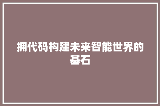 拥代码构建未来智能世界的基石