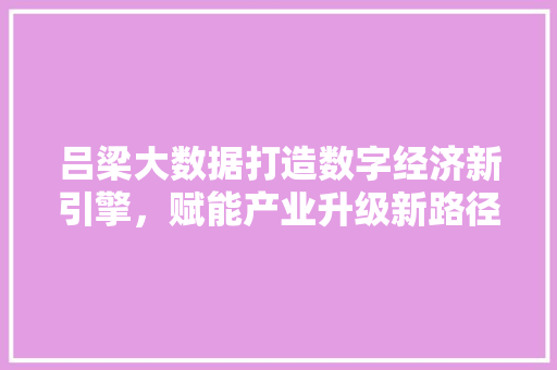 吕梁大数据打造数字经济新引擎，赋能产业升级新路径