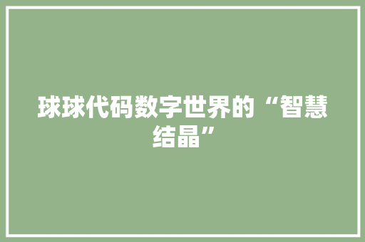 球球代码数字世界的“智慧结晶”