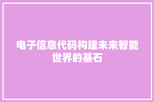 电子信息代码构建未来智能世界的基石