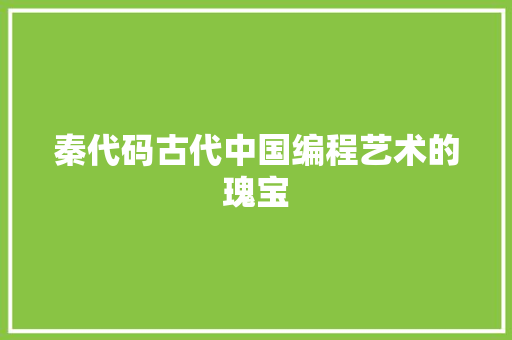 秦代码古代中国编程艺术的瑰宝