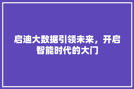 启迪大数据引领未来，开启智能时代的大门