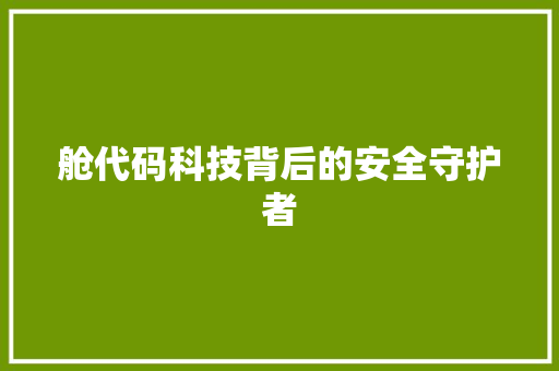 舱代码科技背后的安全守护者
