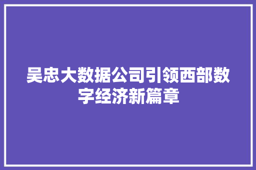 吴忠大数据公司引领西部数字经济新篇章