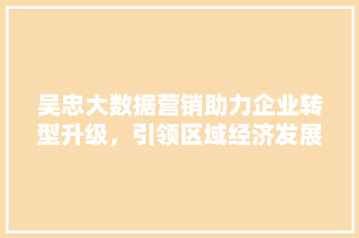 吴忠大数据营销助力企业转型升级，引领区域经济发展新篇章