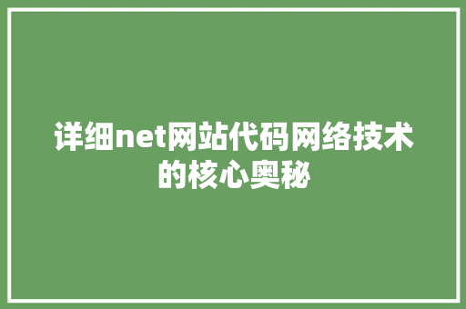 详细net网站代码网络技术的核心奥秘