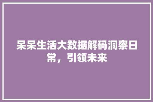 呆呆生活大数据解码洞察日常，引领未来