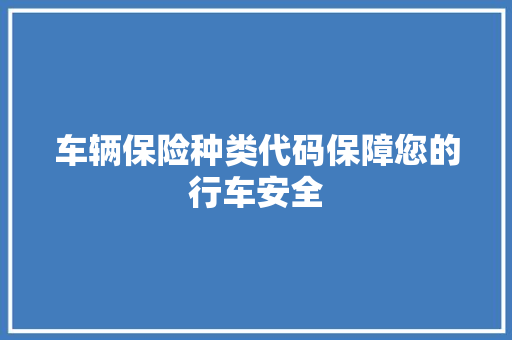 车辆保险种类代码保障您的行车安全