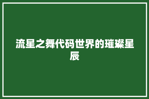 流星之舞代码世界的璀璨星辰