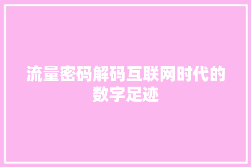 流量密码解码互联网时代的数字足迹  第1张