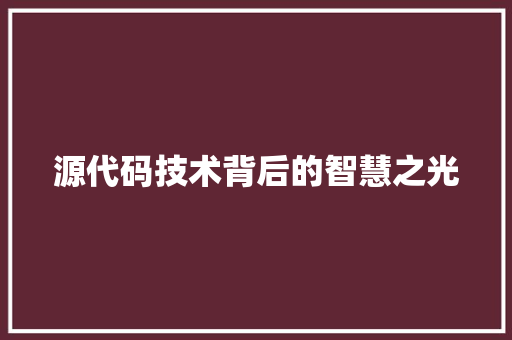 源代码技术背后的智慧之光
