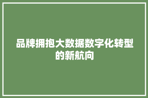 品牌拥抱大数据数字化转型的新航向  第1张