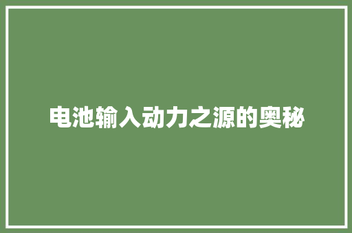 电池输入动力之源的奥秘