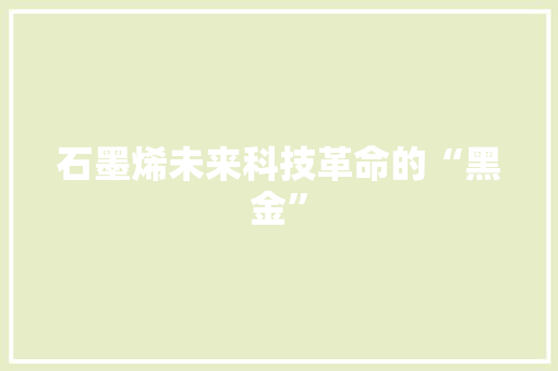 石墨烯未来科技革命的“黑金”