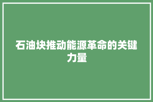 石油块推动能源革命的关键力量