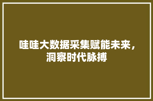 哇哇大数据采集赋能未来，洞察时代脉搏