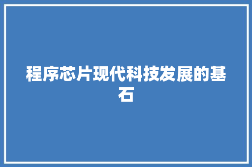程序芯片现代科技发展的基石