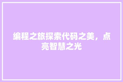 编程之旅探索代码之美，点亮智慧之光