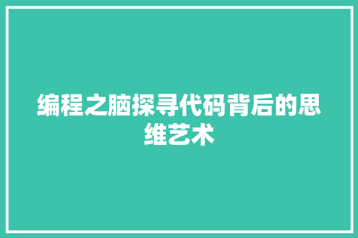 编程之脑探寻代码背后的思维艺术