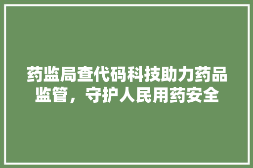 药监局查代码科技助力药品监管，守护人民用药安全