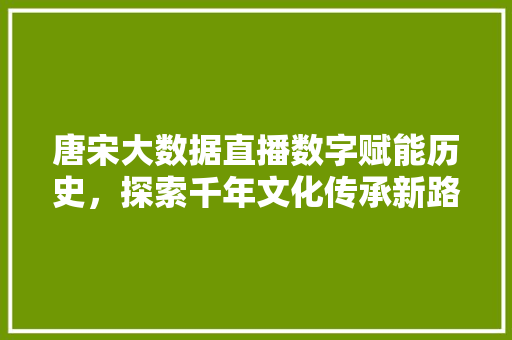 唐宋大数据直播数字赋能历史，探索千年文化传承新路径