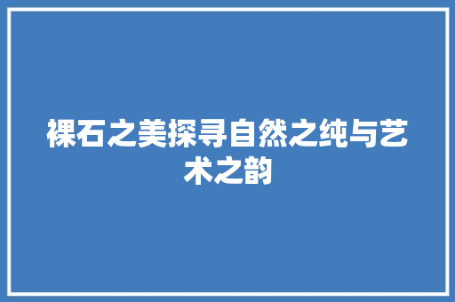 裸石之美探寻自然之纯与艺术之韵