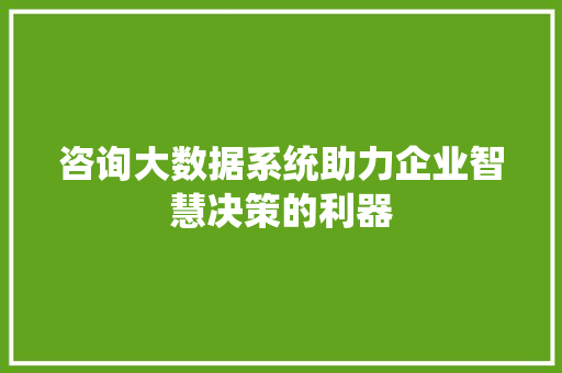 咨询大数据系统助力企业智慧决策的利器  第1张