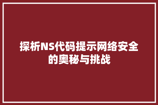 探析NS代码提示网络安全的奥秘与挑战