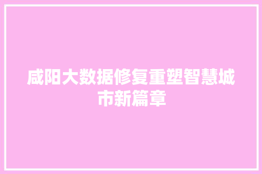 咸阳大数据修复重塑智慧城市新篇章  第1张