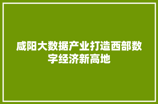 咸阳大数据产业打造西部数字经济新高地  第1张