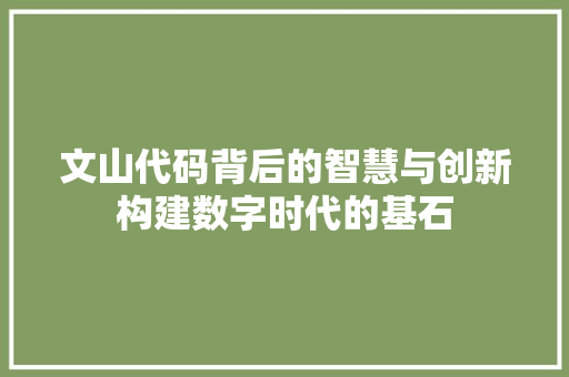 文山代码背后的智慧与创新构建数字时代的基石