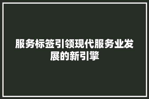 服务标签引领现代服务业发展的新引擎  第1张