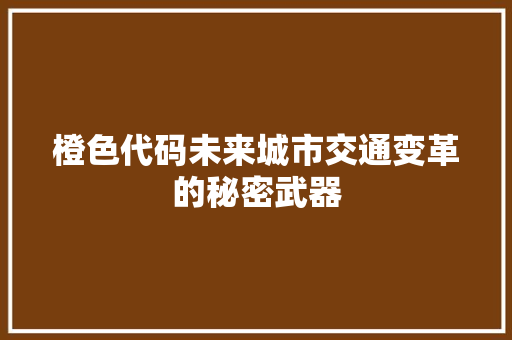 橙色代码未来城市交通变革的秘密武器  第1张