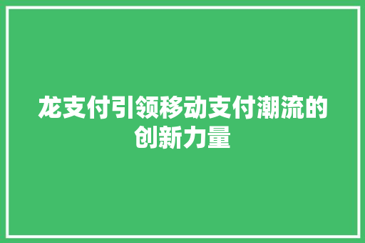 龙支付引领移动支付潮流的创新力量  第1张
