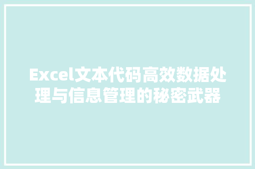 Excel文本代码高效数据处理与信息管理的秘密武器