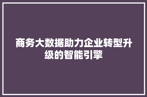 商务大数据助力企业转型升级的智能引擎  第1张