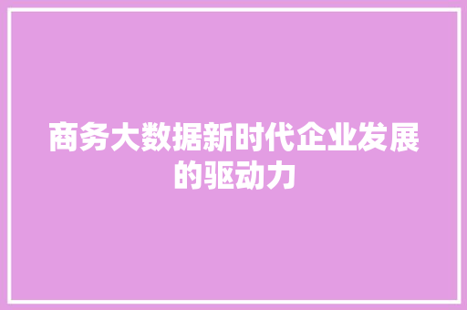 商务大数据新时代企业发展的驱动力  第1张