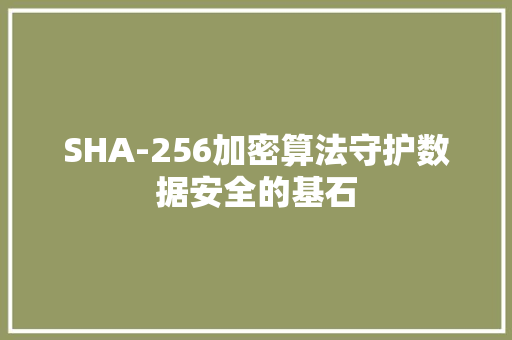 SHA-256加密算法守护数据安全的基石