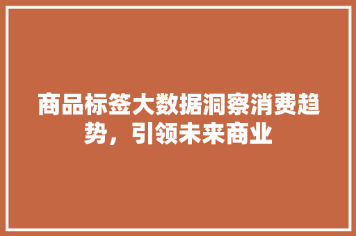 商品标签大数据洞察消费趋势，引领未来商业