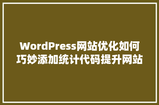 WordPress网站优化如何巧妙添加统计代码提升网站运营效果