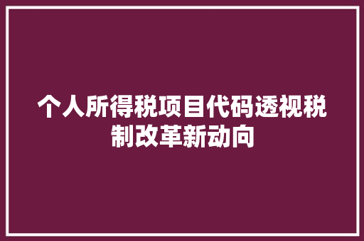 个人所得税项目代码透视税制改革新动向