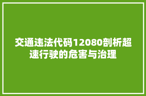 交通违法代码12080剖析超速行驶的危害与治理