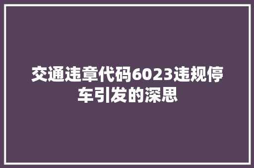 交通违章代码6023违规停车引发的深思