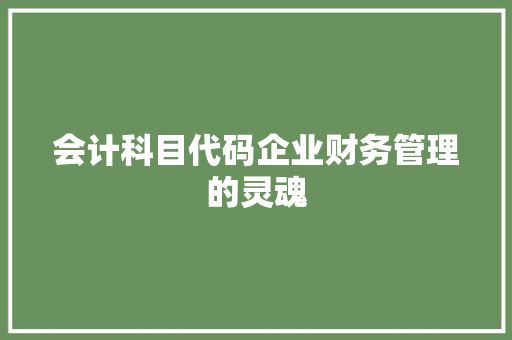 会计科目代码企业财务管理的灵魂