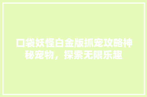 口袋妖怪白金版抓宠攻略神秘宠物，探索无限乐趣