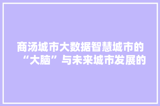 商汤城市大数据智慧城市的“大脑”与未来城市发展的新引擎  第1张