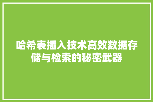 哈希表插入技术高效数据存储与检索的秘密武器