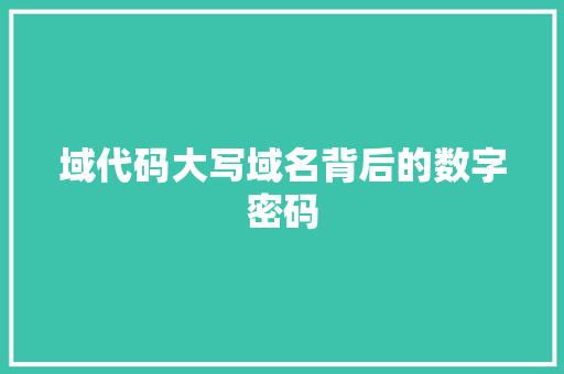 域代码大写域名背后的数字密码