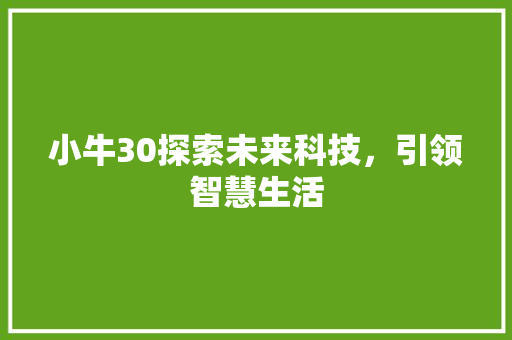 小牛30探索未来科技，引领智慧生活