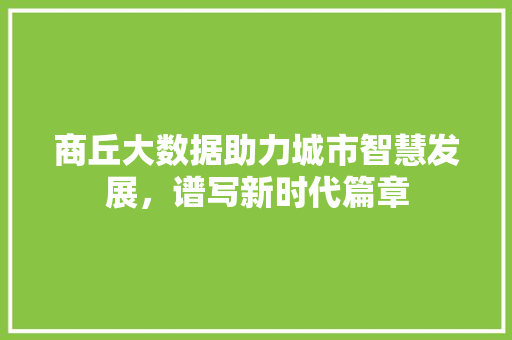 商丘大数据助力城市智慧发展，谱写新时代篇章